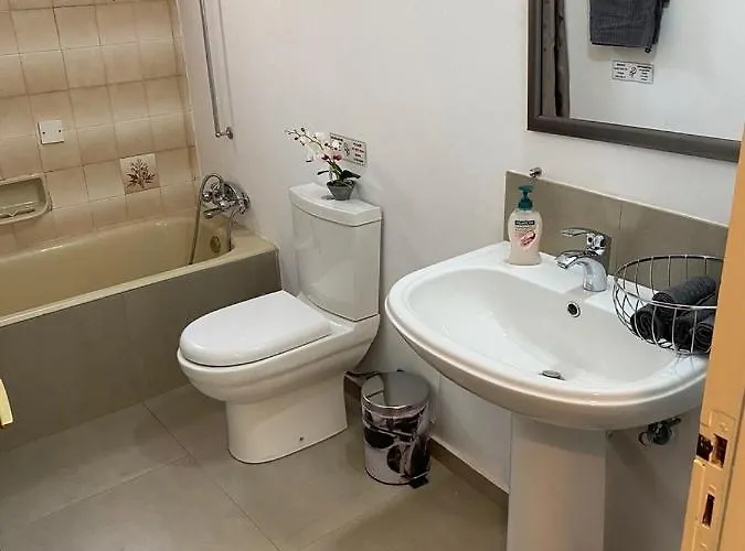 Comfortable Apartment